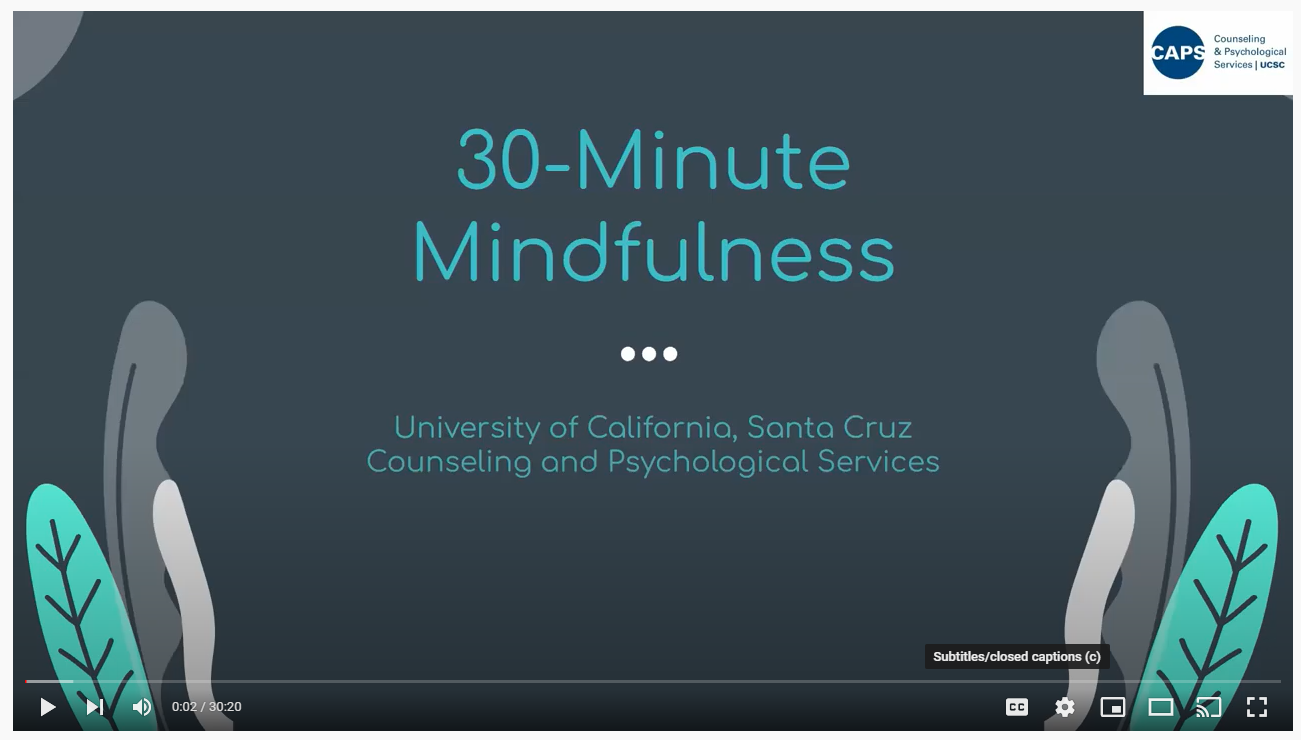 view the CAPS mindfulness video on YouTube